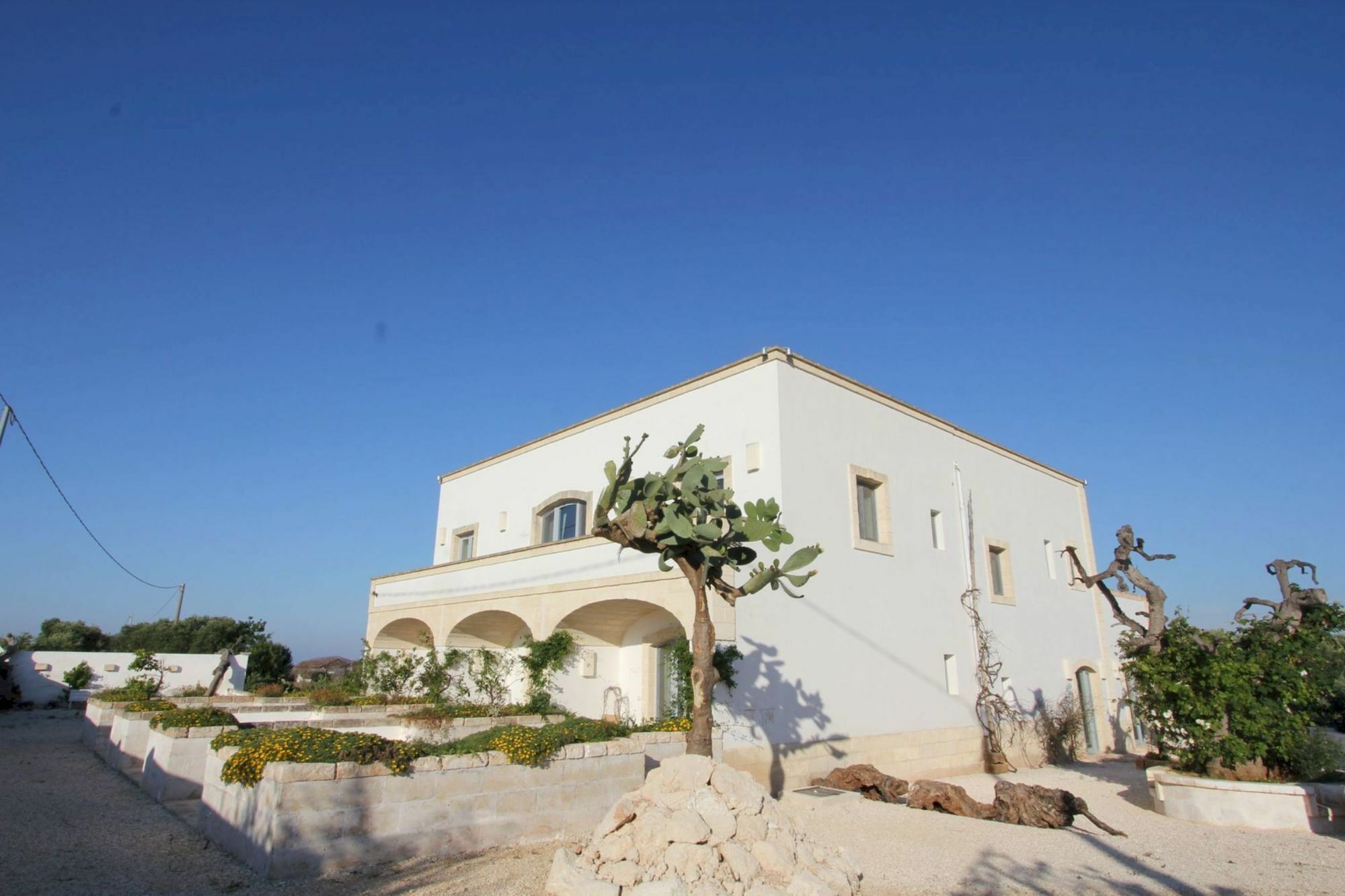 Masseria Lama Di Coccaro Savelletri Esterno foto